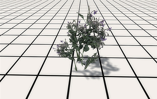 afghan vegetation 24 tree 3d max - 24 Afghan Vegetation Models by pure3dviz
